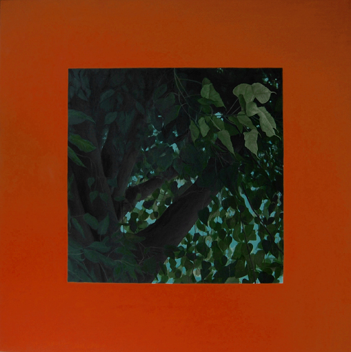 Bodhi Leaves