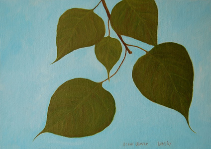 Bodhi Leaves