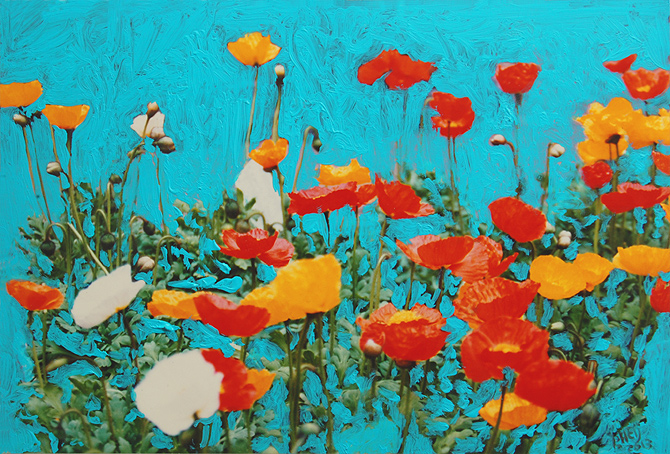 series Flowers (photo paintworks | peinture)