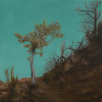 series Santa fe footpaths (oil paintings | peinture à l'huile)