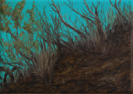 Santa Fe footpath VII