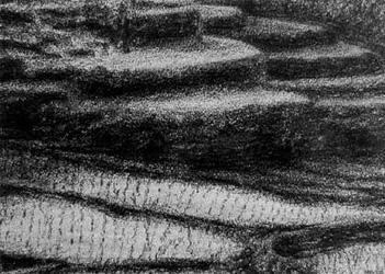 Rice fields near Tirtaganga / Sawa's bij Tirtaganga, Bali